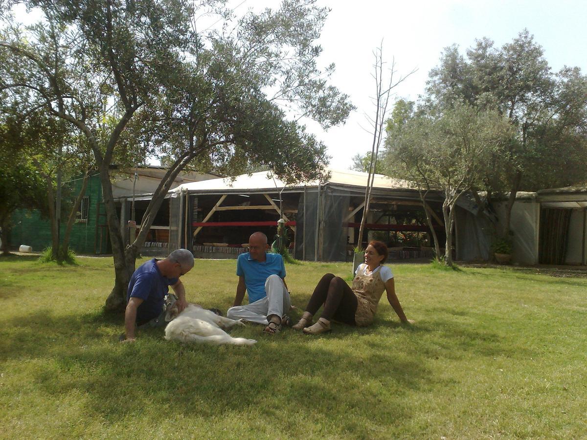 Peace Tent Villa Kfar Rut Szoba fotó