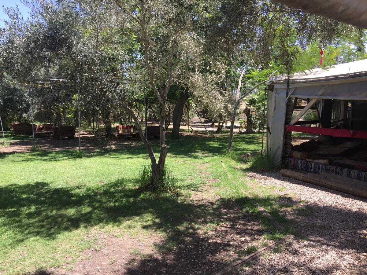 Peace Tent Villa Kfar Rut Kültér fotó