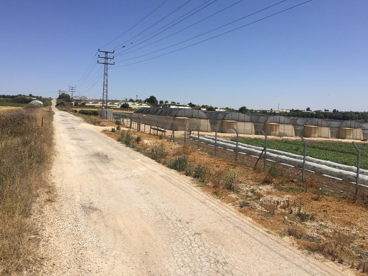 Peace Tent Villa Kfar Rut Kültér fotó
